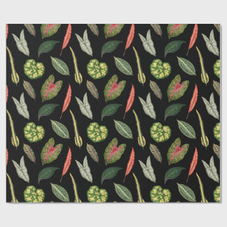 Papel De Presente Wrapping Paper