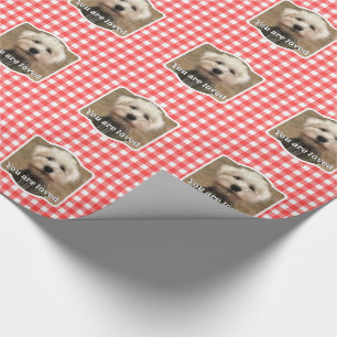Papel De Presente Xadrez de Verificação de Buffalo Vermelho do País