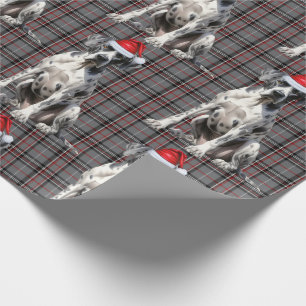 Papel De Presente Xadrez Vermelha Festiva e Grande Cachorro Dane Nat