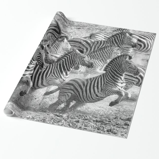 Papel De Presente Zebras correndo (Desenrolado)