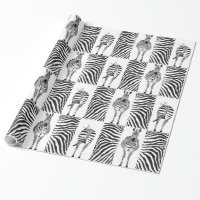Zebras do teste padrão