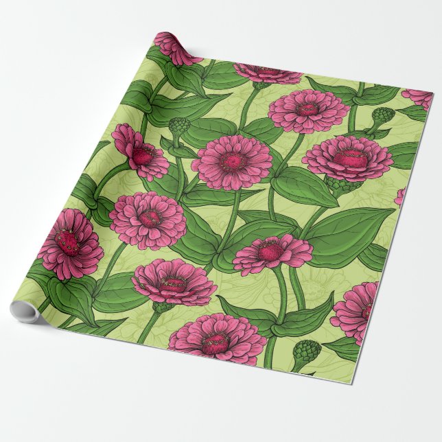 Papel De Presente Zínias Rosa em verde claro (Desenrolado)