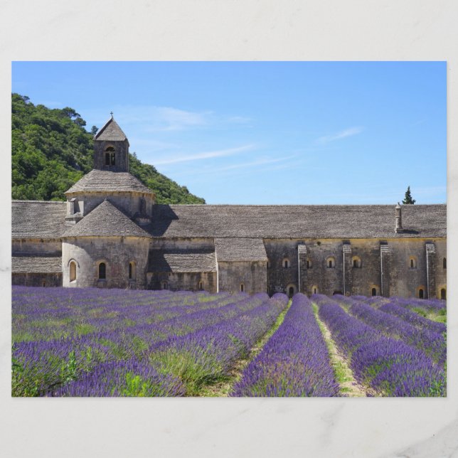 Papel de Scrapbook Campos de Lavanda da Abadia de  (Frente)