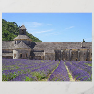 Papel de Scrapbook Campos de Lavanda da Abadia de 