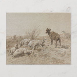 Papel de Scrapbook com Arte em Grafite de Ovelhas