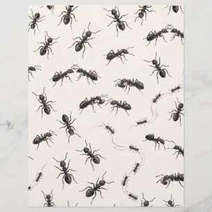 Papel de Scrapbook de Entomologia Formigas Pretas