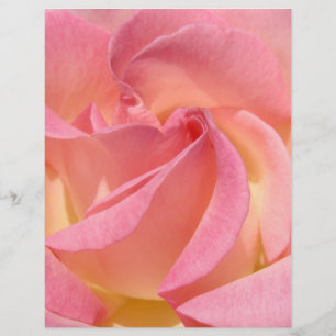 Papel de scrapbook Flor Espiral Rosa personalizado