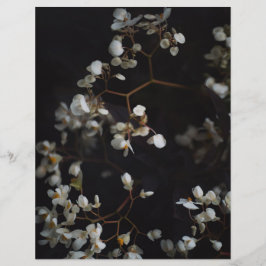 Papel de Scrapbook Floral Escuro Elegante e Temper