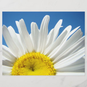 Papel de scrapbook Flores de Margarida Brancas Céu