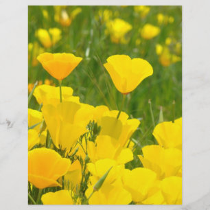 Papel de scrapbook Laranja Artesanatos de flores d
