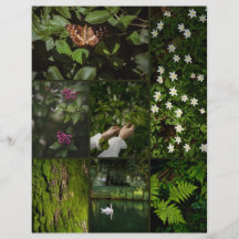 Papel de Scrapbooking Núcleo da Natureza Verde Esc