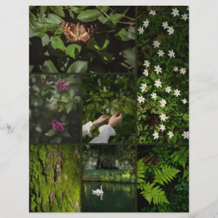 Papel de Scrapbooking Núcleo da Natureza Verde Esc