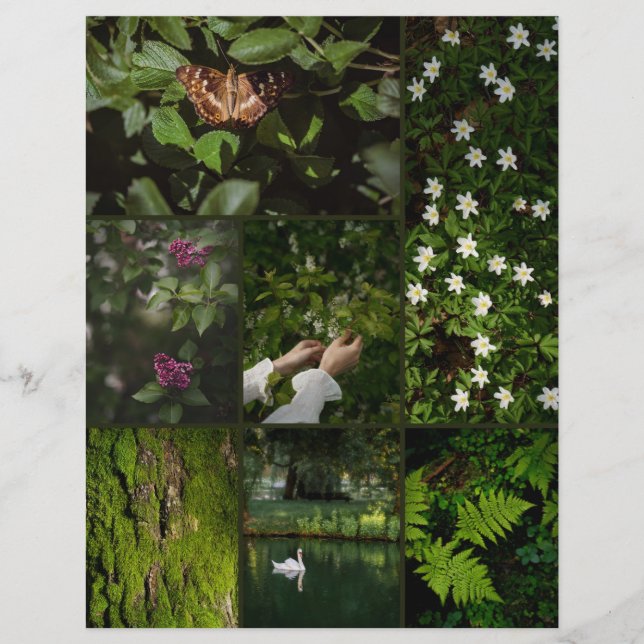 Papel de Scrapbooking Núcleo da Natureza Verde Esc (Frente)