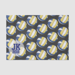 Papel De Seda 03de12 Papel-Padrão de Voleibol