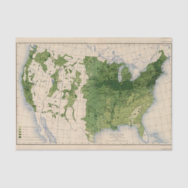 Papel De Seda 155 milhos/acre (Frente )