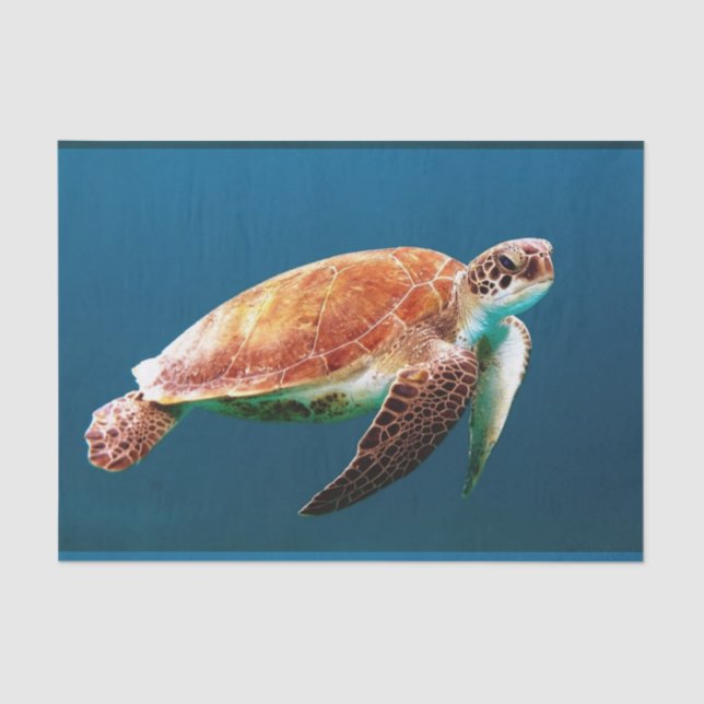 Papel De Seda 24 subaquático (Frente )