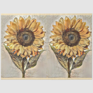 Papel De Seda 2 Coleção Elegante De Lúxios De Aquarela