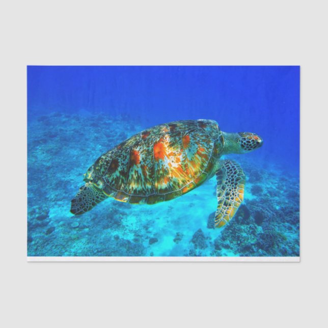 Papel De Seda 30 subaquáticos (Frente )