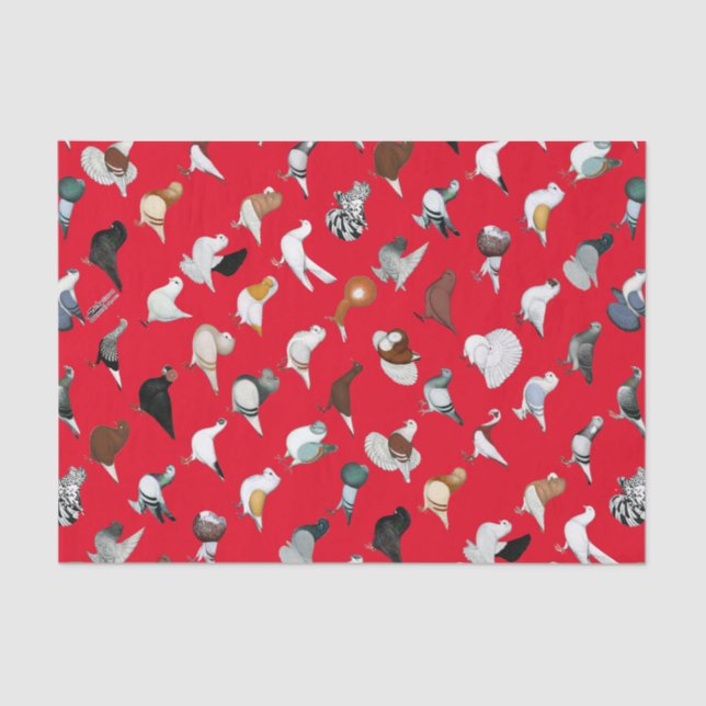 Papel De Seda 36 raças do pombo (Frente )