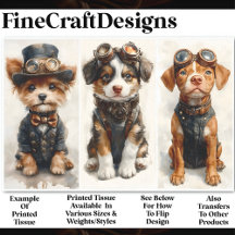 3 Cachorrinhos Fofos Steampunk, Grupo 1 CB4 Decoup