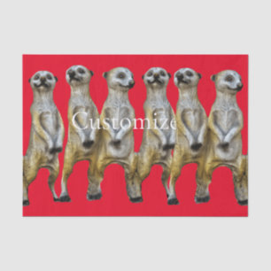 Papel De Seda 6 Meerkats em pé Thunder_Cove