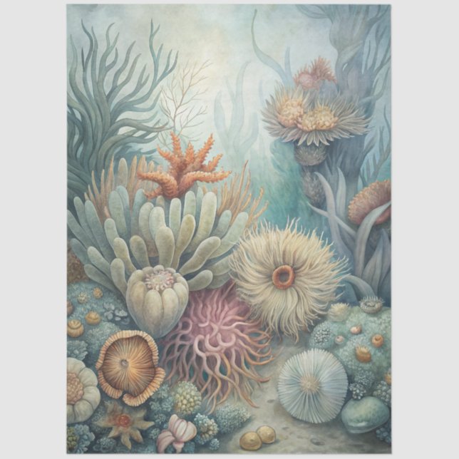 Papel De Seda A Coastal Series Design 43 (Frente )