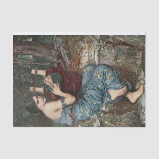 Papel De Seda A desvinculação mais encantadora (Frente )