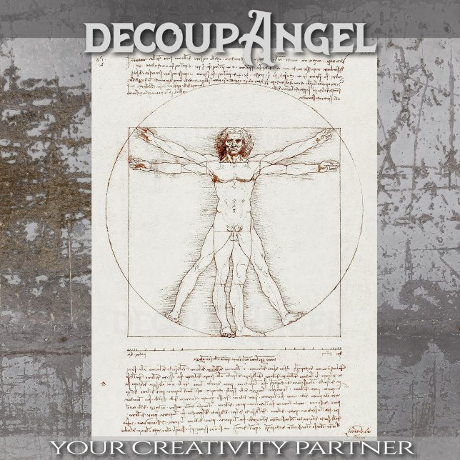 Papel De Seda A dissociação do homem vitruviano de Leonardo da V (Criador carregado)