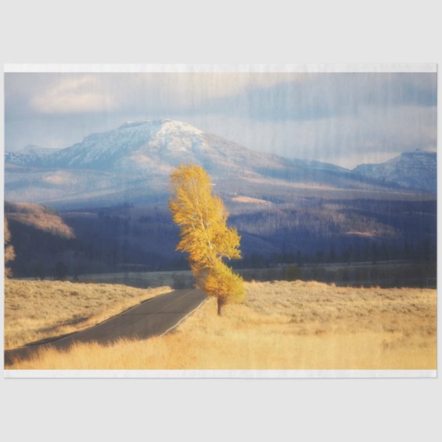 Papel De Seda A estrada aberta (Frente )