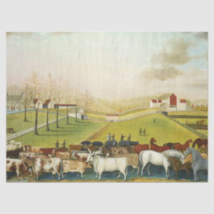 Papel De Seda A Fazenda Cornell (Península da Pensilvânia)