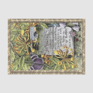 Papel De Seda A Fruta Do Espírito