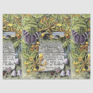 Papel De Seda A Fruta Do Espírito