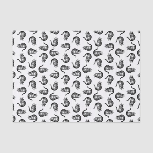 Papel De Seda A Gata de Cheshire Alice no País das Maravilhas CO (Frente )