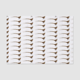 Papel De Seda A ilustração do desenho animado de pássaros faisõe
