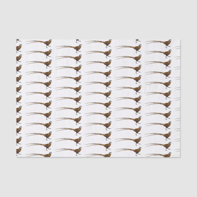 Papel De Seda A ilustração do desenho animado de pássaros faisõe (Frente )