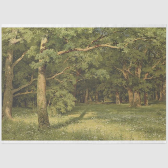 Papel De Seda A Limpeza Florestal (Cena de Paisagem Florestal) (Frente )