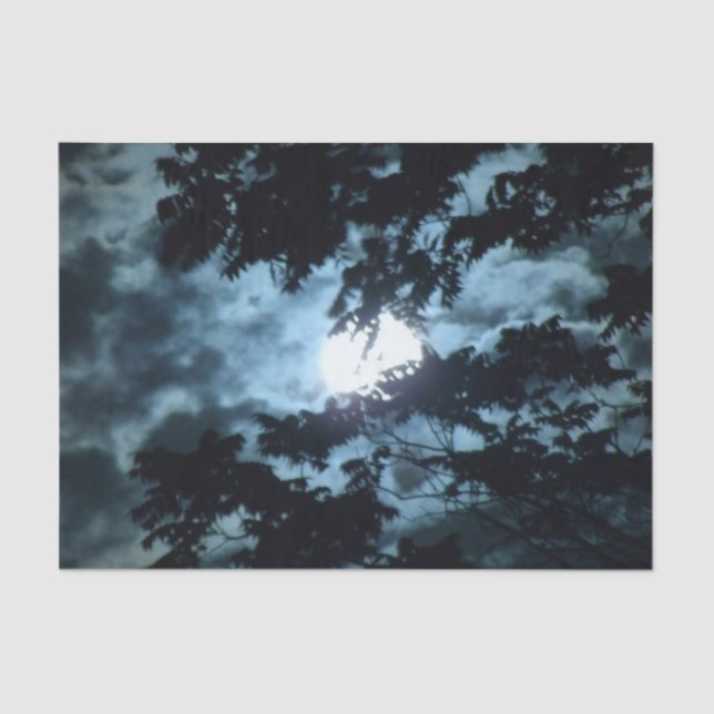 Papel De Seda A lua ilumina a noite atrás dos ramos de árvore (Frente )