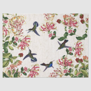 Papel De Seda A madressilva dos pássaros do colibri floresce o