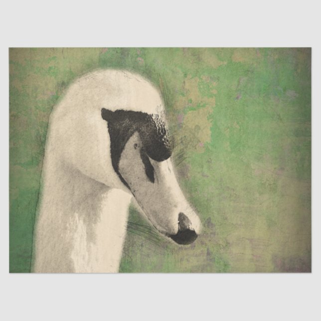 Papel De Seda A mais recente desnuvem de Cisne (Frente )