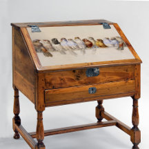 A Perch of Birds (1880) apresentada por Hector Gia