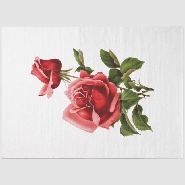 Papel De Seda A Série Bouquet Design 134 (Frente )