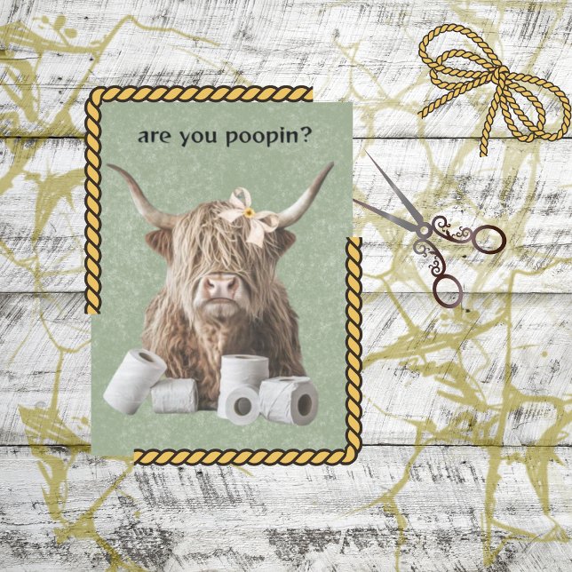 Papel De Seda A Terra Do Banheiro De Despojo Está A Pôr? (Criador carregado)