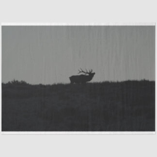 Papel De Seda A Última Mata