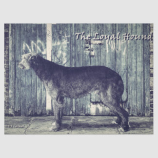Papel De Seda A Vintage do Hound Leal