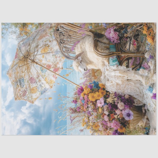 Papel De Seda Abaixe-chuvas Quimais de Ovelha Praia Soltando o G (Frente )