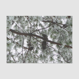 Papel De Seda Abaixo da neve coberta pela árvore de pinheiro Fot