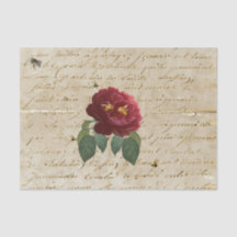 Abelhas de Rosa vermelha