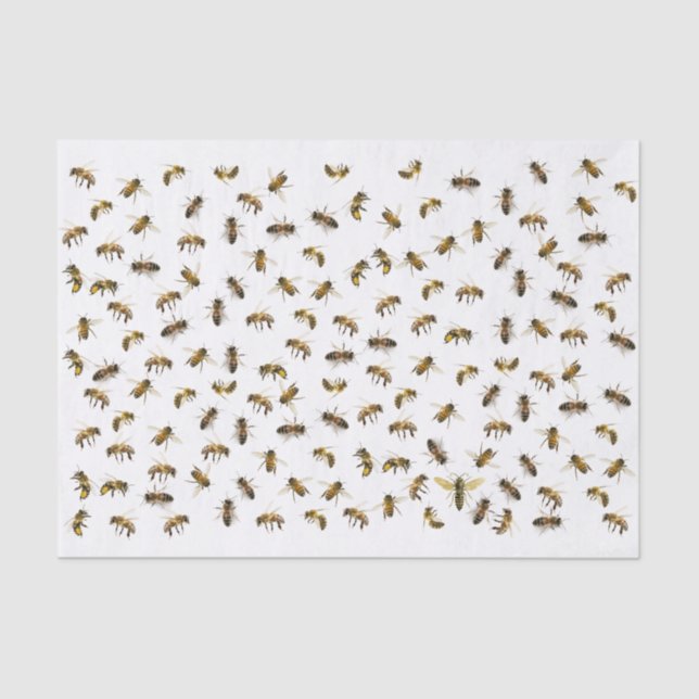 Papel De Seda Abelhas de Trabalhadores e Quebra Apiária Rainha e (Frente )