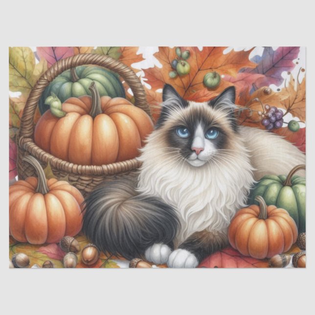 Papel De Seda Abóboras de Outono Folhas de Outono Gato Ragdoll (Frente )