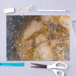 Papel De Seda Abstract bronze white mineral rock texture